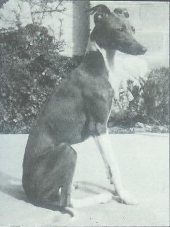 Regio Tesoro 1