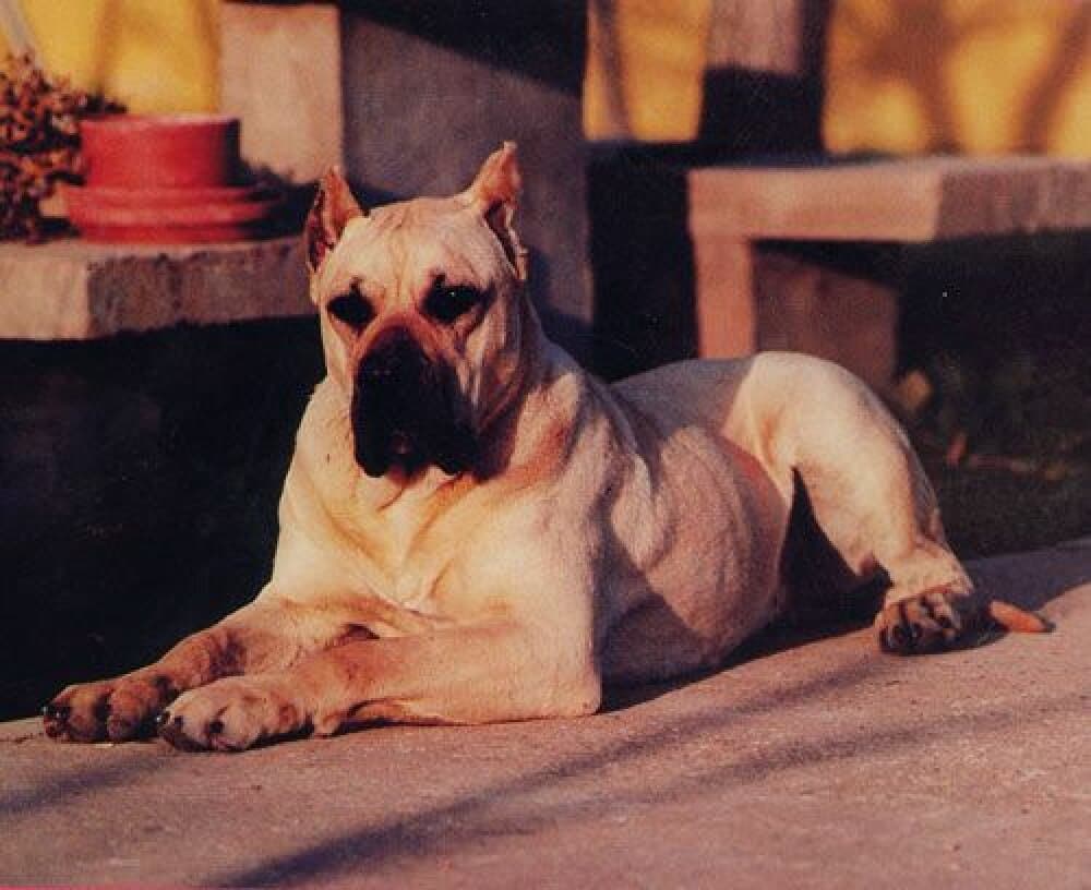 ERMIGUA DE HARIDIAN 1