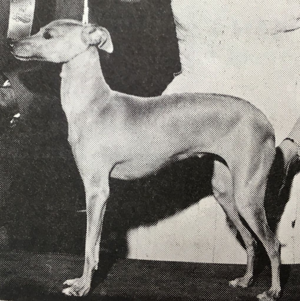 Jeannie Of Jachelann 1