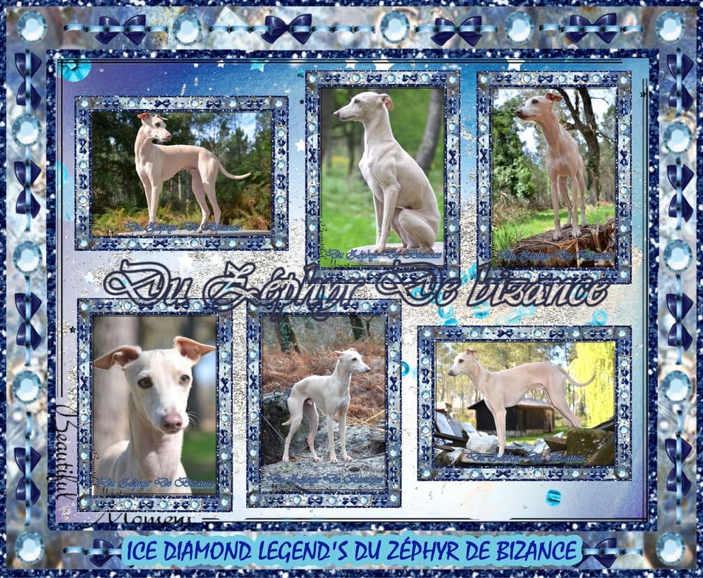 Ice Diamond Legend Du Zéphyr De Bizance 1