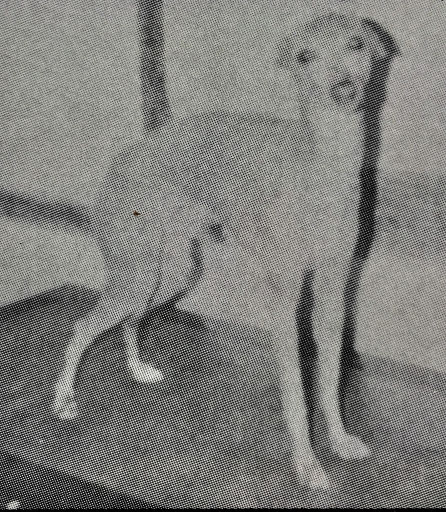 Nailati Monarch Mylo Of Berinshill 1