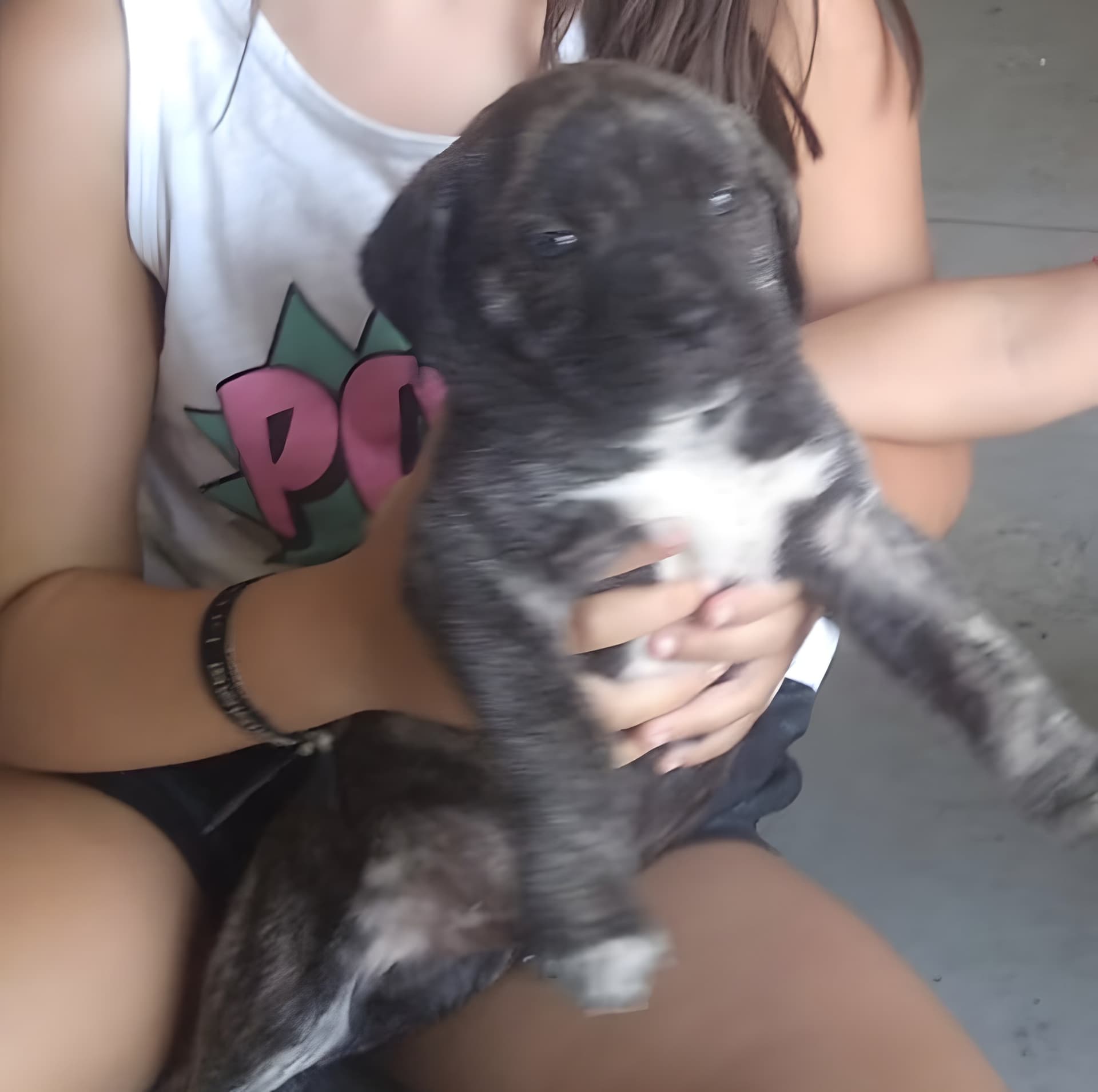 CRISTO DE KING ZULU 1