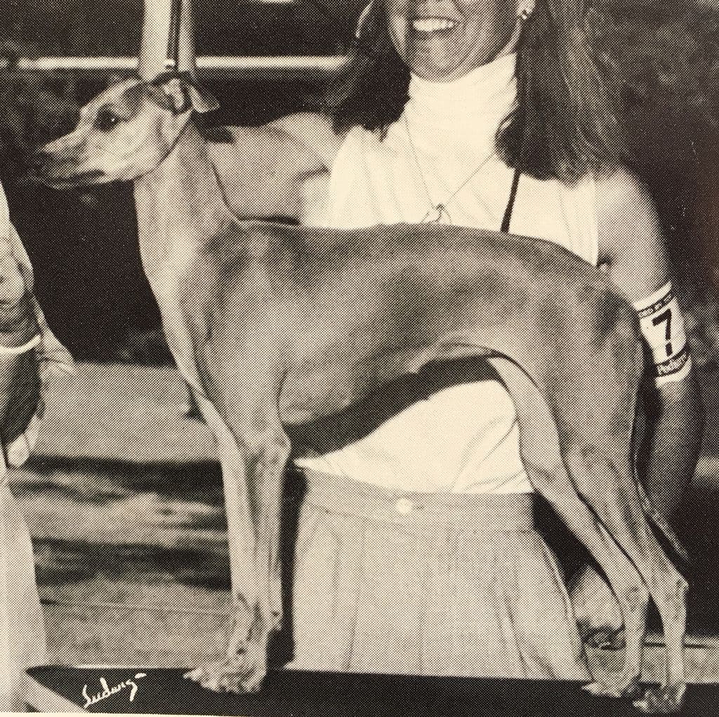 Littleluv's Fawn Hall 1