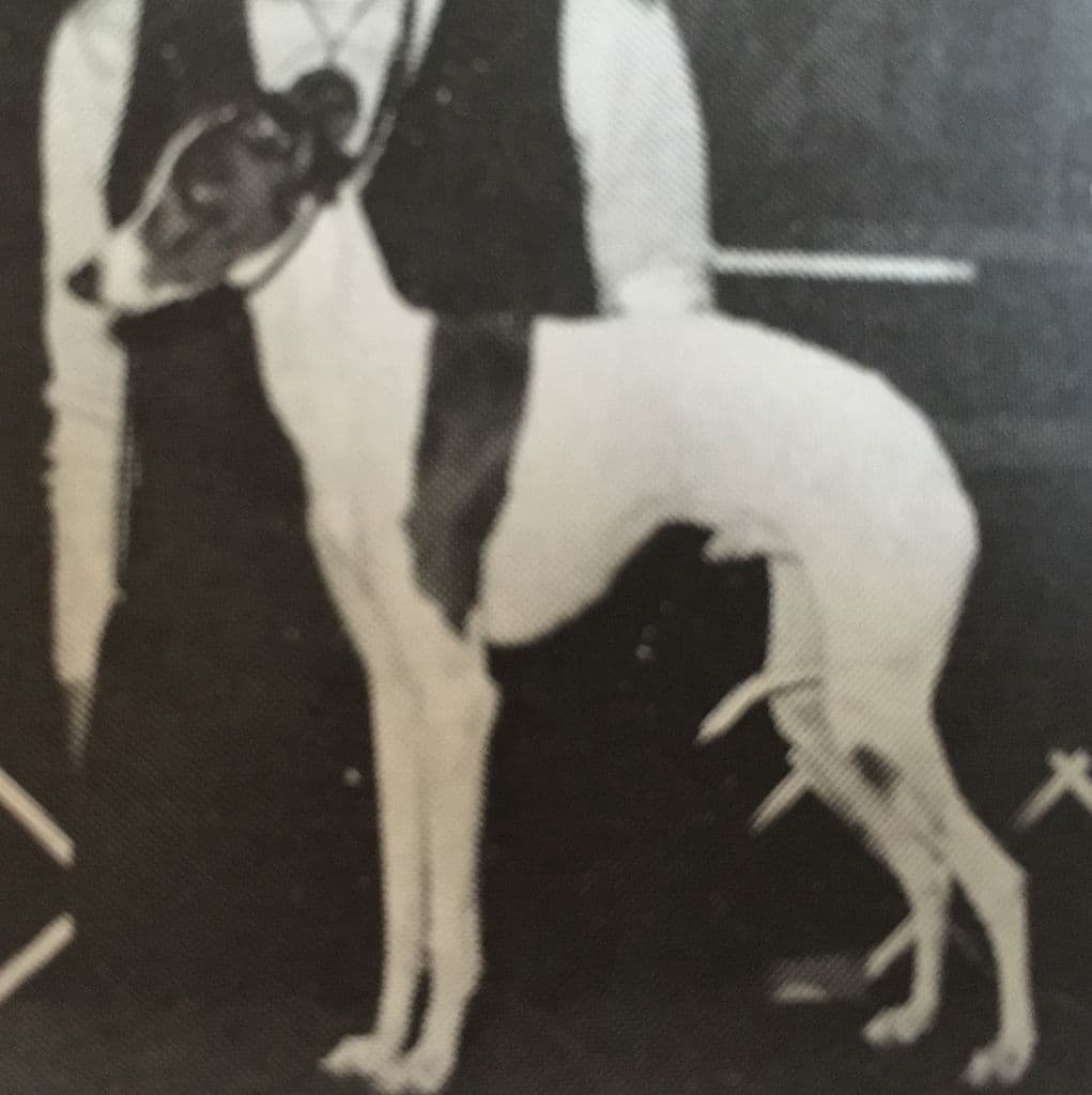 Tucker's Heir To Starlite 1