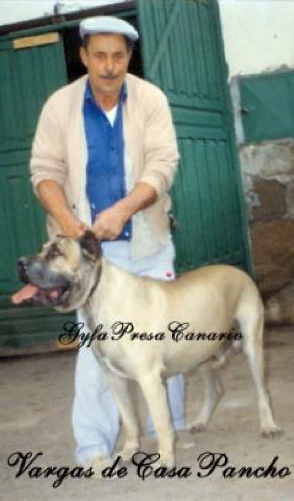 VARGAS DE CASA PANCHO 1