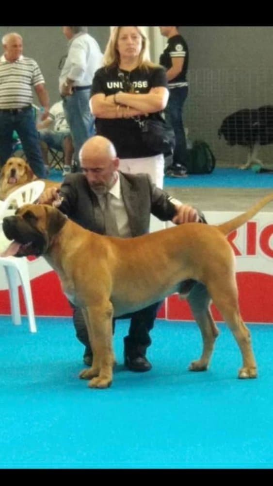 AXEL DE CENTURIONES DE BERTI 1