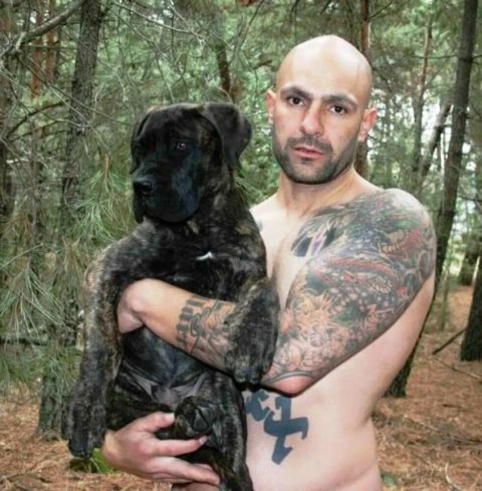 CAMACHO DE PERRO DE PRESA BECERRIL 1
