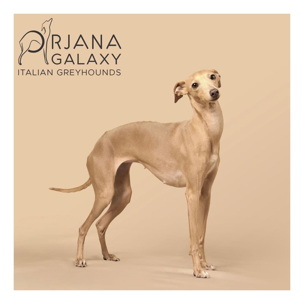 Julia Orjana Galaxy 1