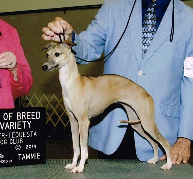 Wynson's Rags To Riches 1