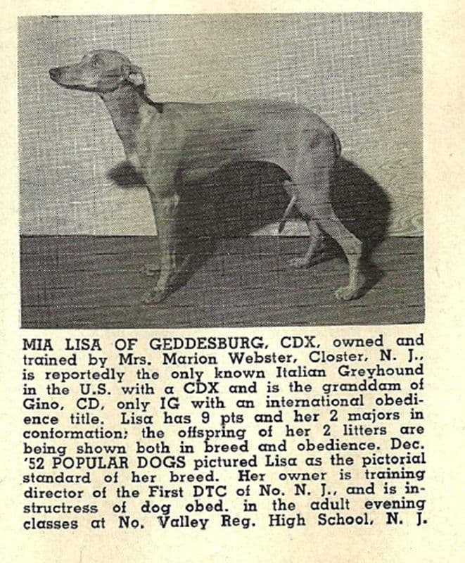 Mia Lisa Of Geddesburg 1