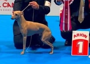 Libero E Bello Dei Raggi Di Luna 1