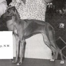 Northbrook's Jobi Bit O Spice 1