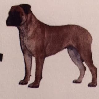 KNATCHBULL'S MONTANA SANROSE 1