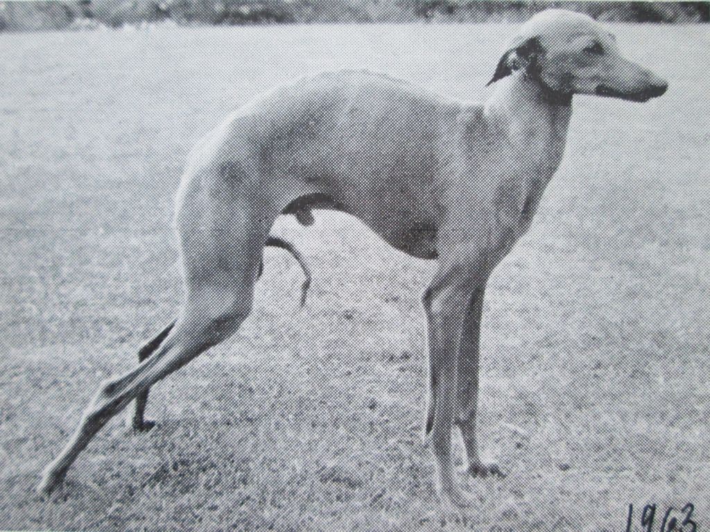 Chandrey Geromino 1