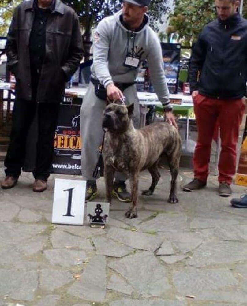 GUAJARA I DEL CALABAZO 1