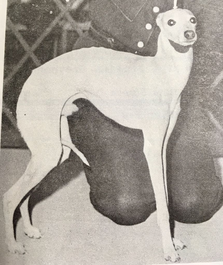 Lord Byron Of Argus 1