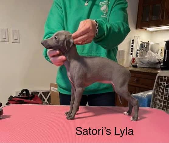 Satori Lyla 1