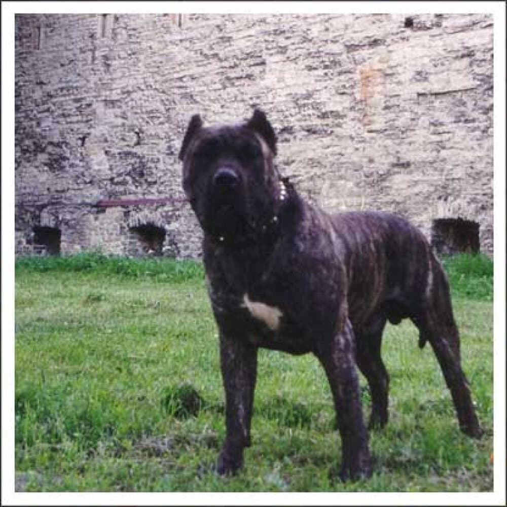 AFUR DE GUADALCAN 1