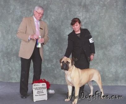KNATCHBULL'S AFAIR OF THE HEART 1