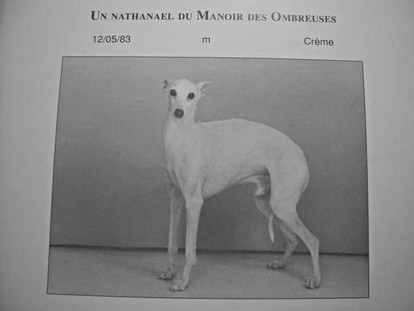 Un Nathanael Du Manoir Des Ombreuses 1