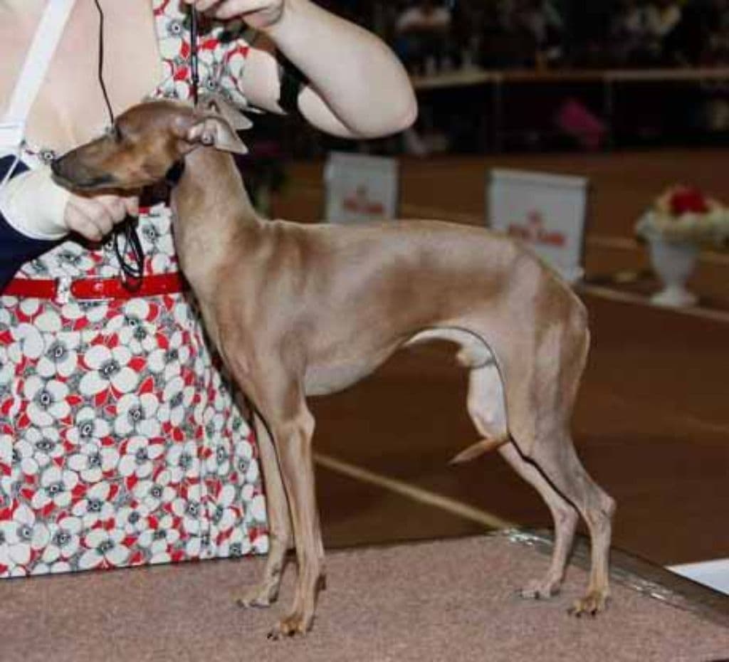 Kiss Konsepsion Got Child 1