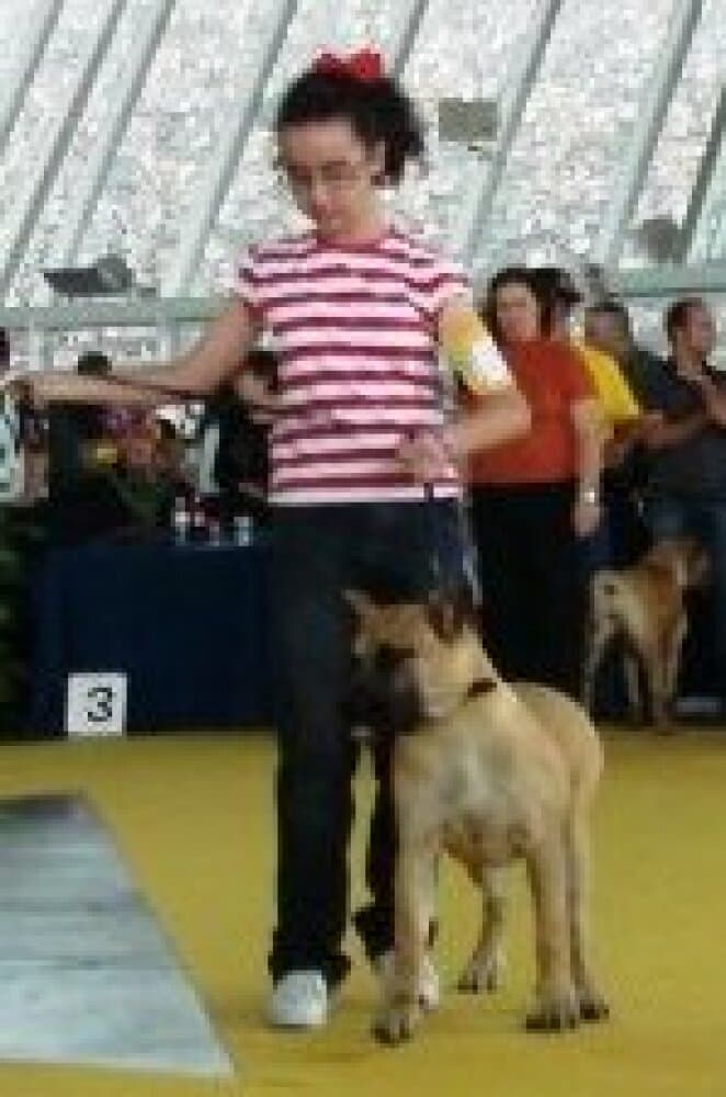 QUEEN DE LA JACHA 1