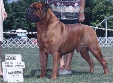 HANOVER'S SIMON OF MILL CREEK 1
