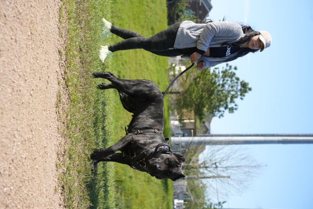 ZOEY DE PRESA FARMS 1