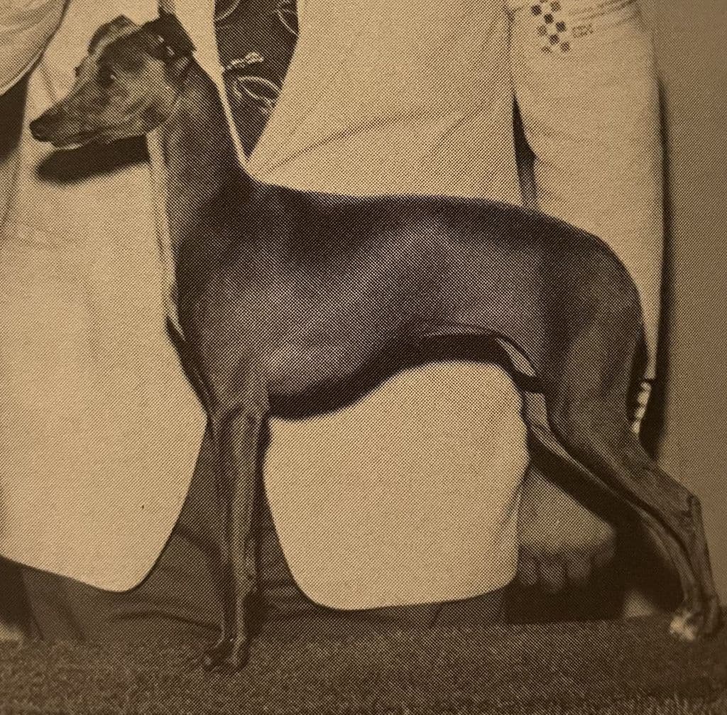 Anthony's Bleu De Beau 1
