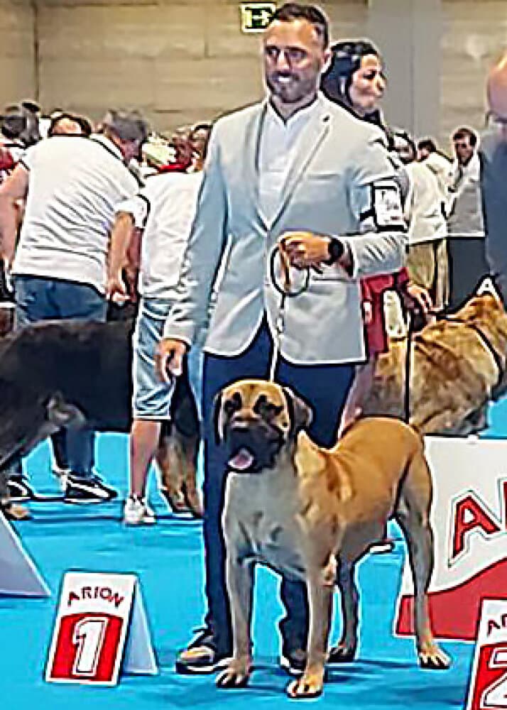 DALI DE BREVIERCAN 1