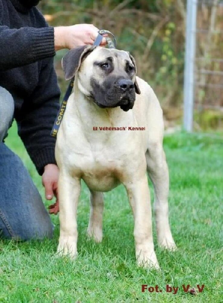 PEGGY DE CANMUC 1