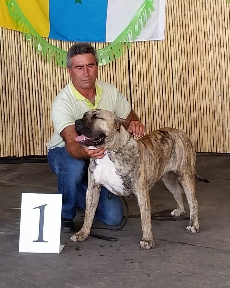 NALA DE URBAJONA 1