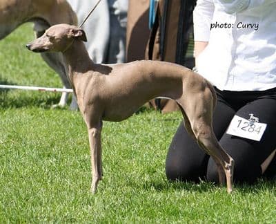 Soltar's Creme De La Eugenios 1