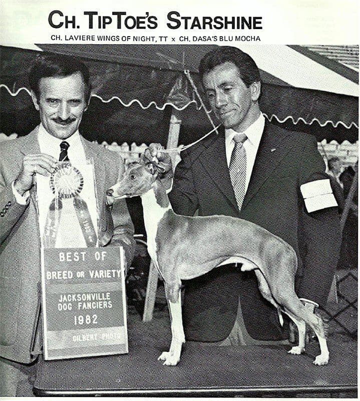 Tiptoe Starshine 1