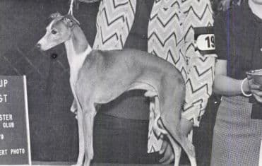 Sylhue Prodigy 1