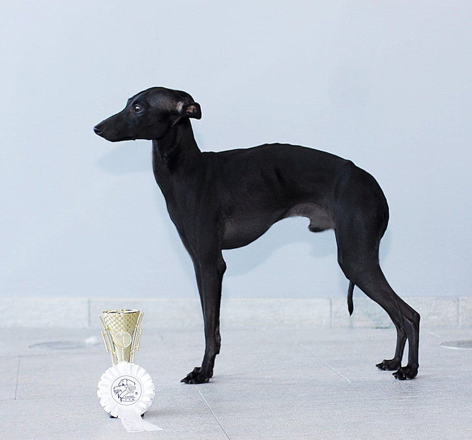 Onegin Ulrikh 1