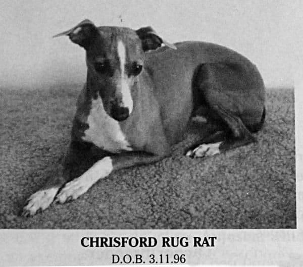 Chrisford Rug Rat 1