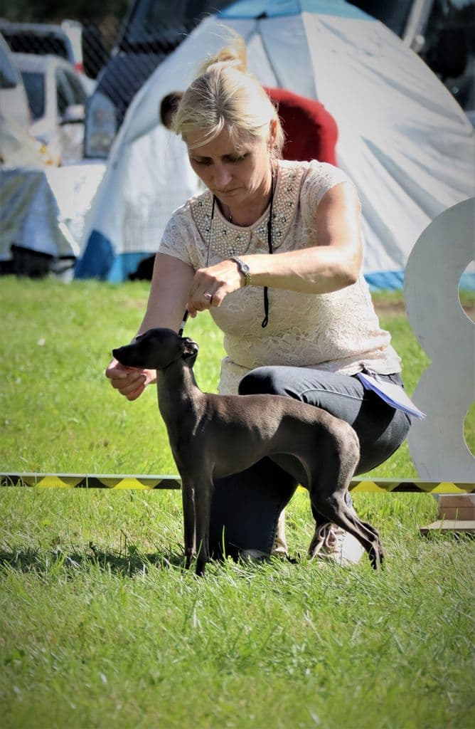 Astra Bravissimo Meredith 1