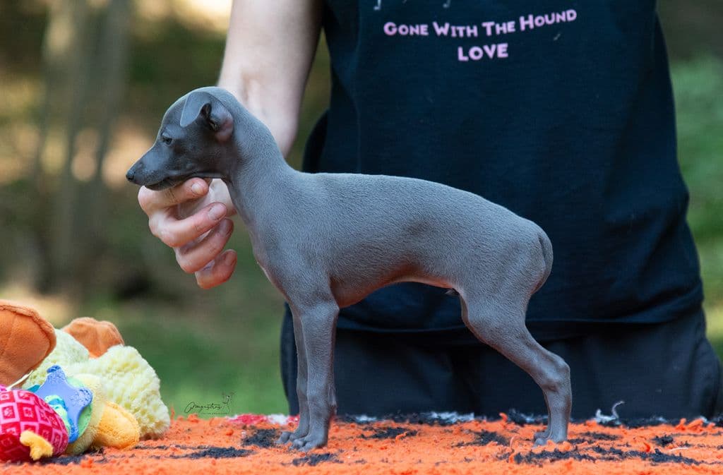 Une Adorable Chipie De Magistris 1