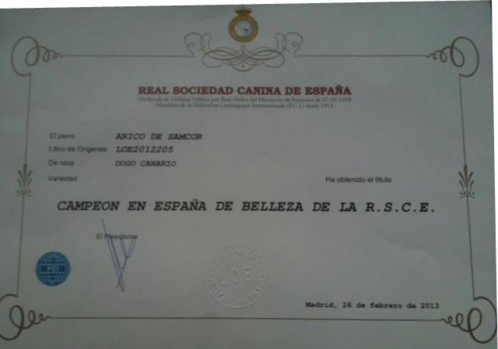 ARICO DE SAMCOR 1