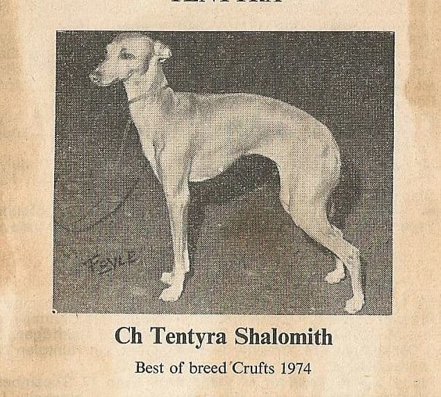 Tentyra Shalomith 1