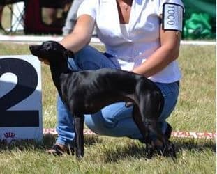 Bran Windcatcher 1
