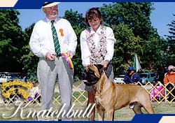 KNATCHBULL'S MISTER WORF 1
