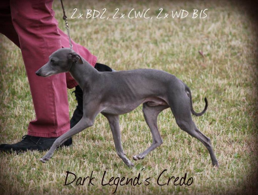 Dark Legend's Credo 1