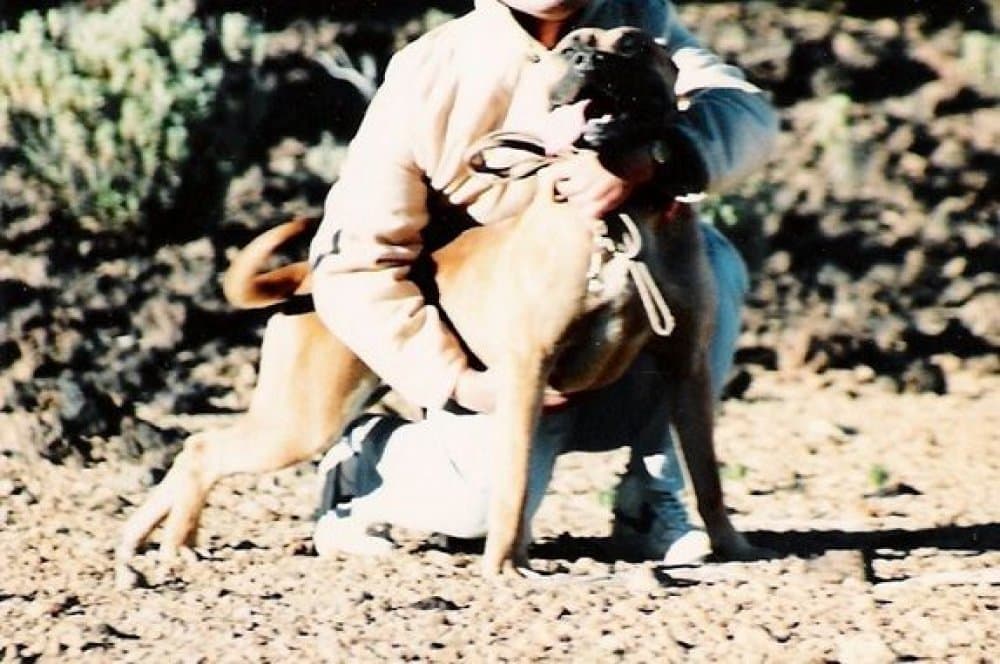 CANELA DE PEPITO 1