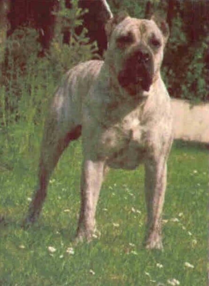 LAR DE TAGULUCHE 1