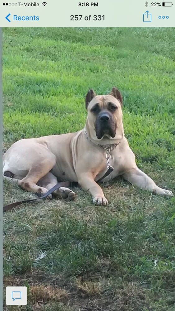 BELLA SAGE OF AQUASCO FARM 1