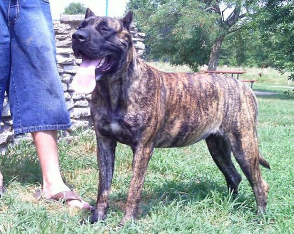 ZOEY DEL RIVER CITY (ZOIE) 1
