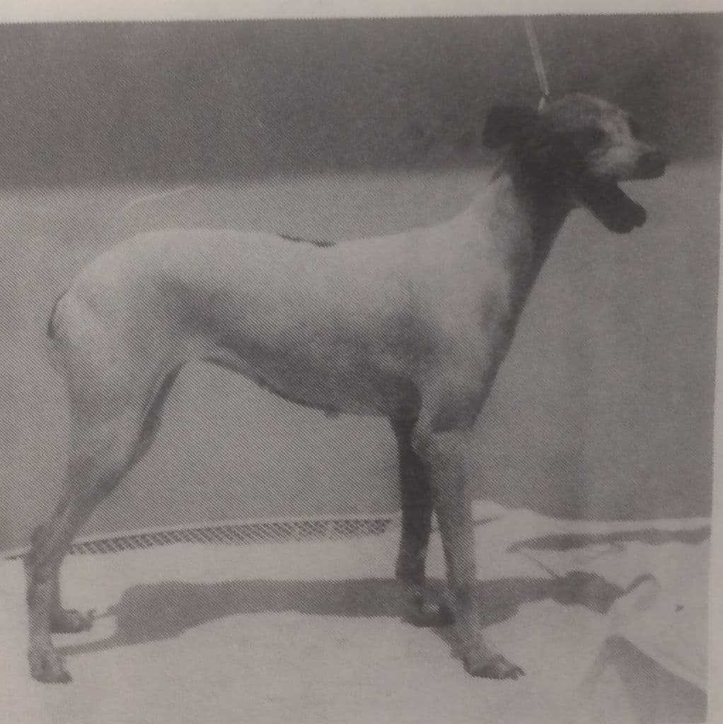 Maria Elena Of Jachelann 1