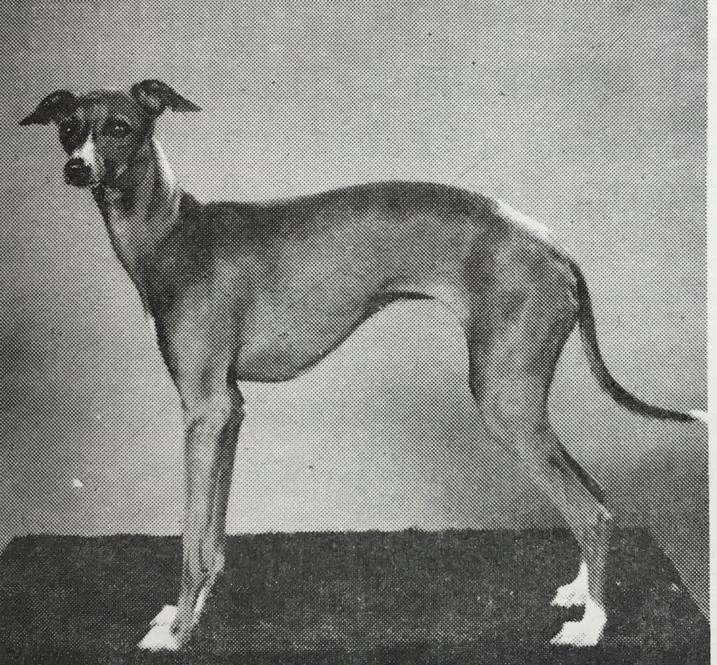 Aldonsa Of Zuni Valley 1